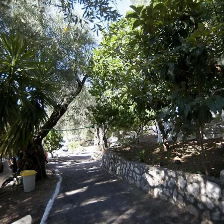 מלון Paradise